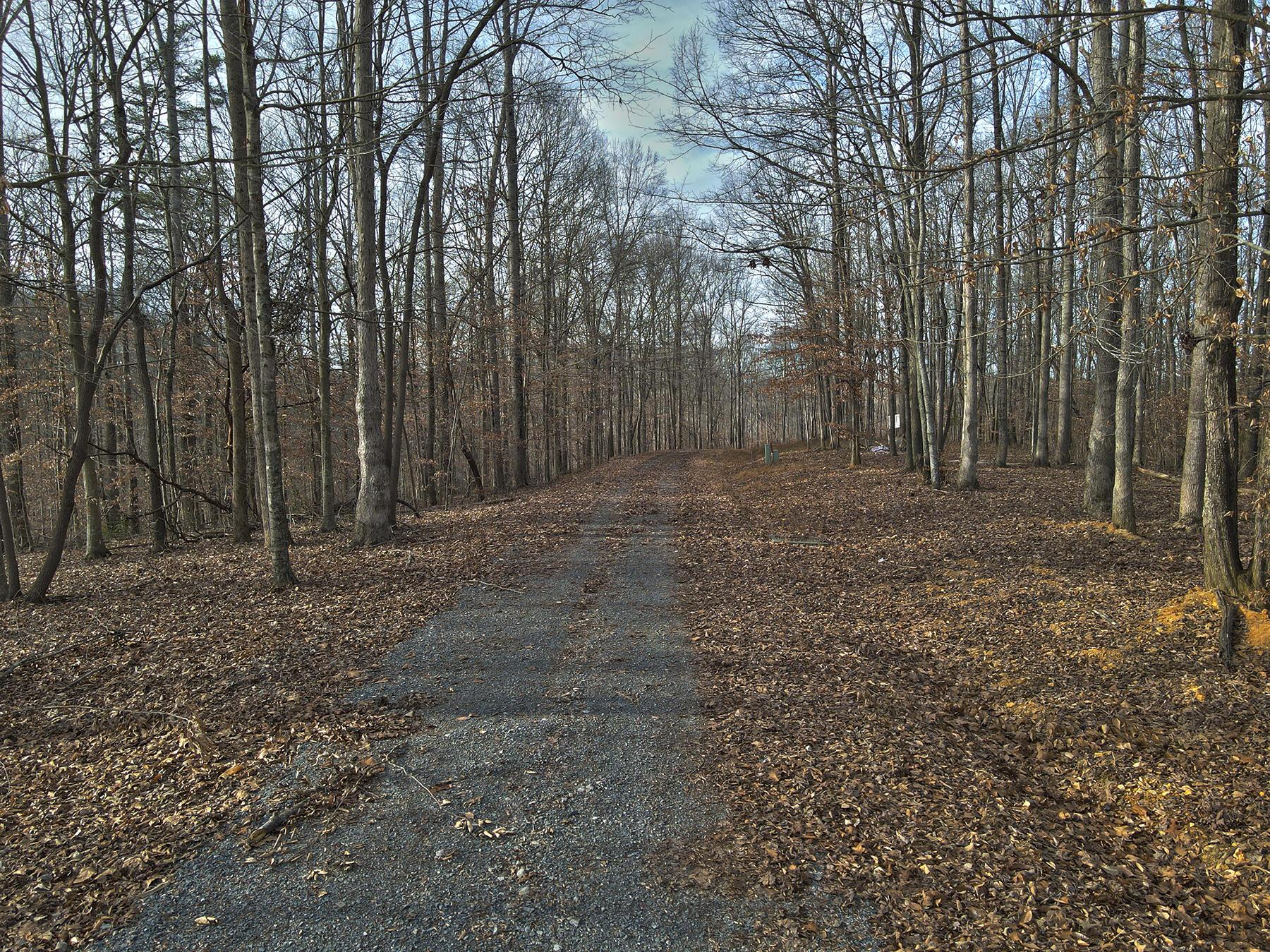 Image 4: 5