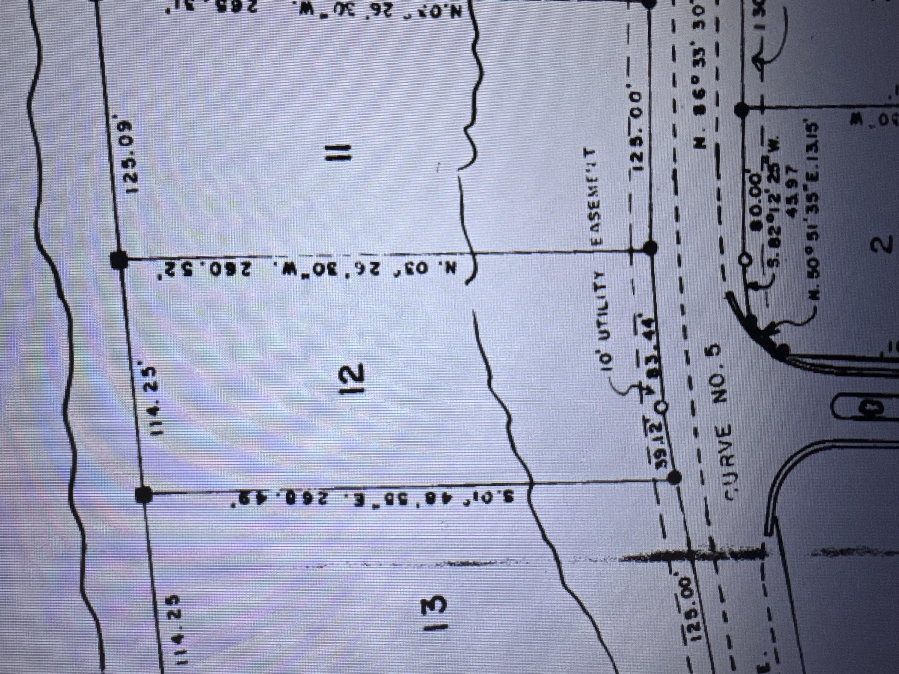 Image 2: 79984895374__C0BC9222-E5D5-470F-B5BB-4F9