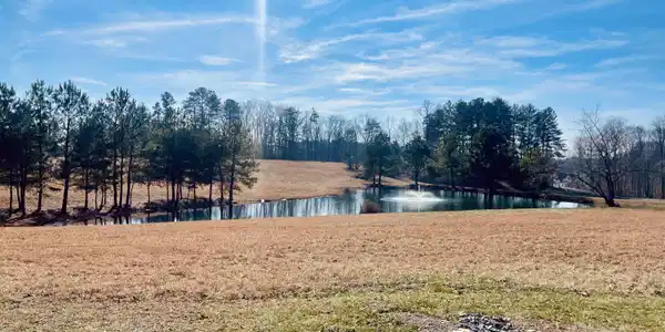 Lot 99 Captains Point