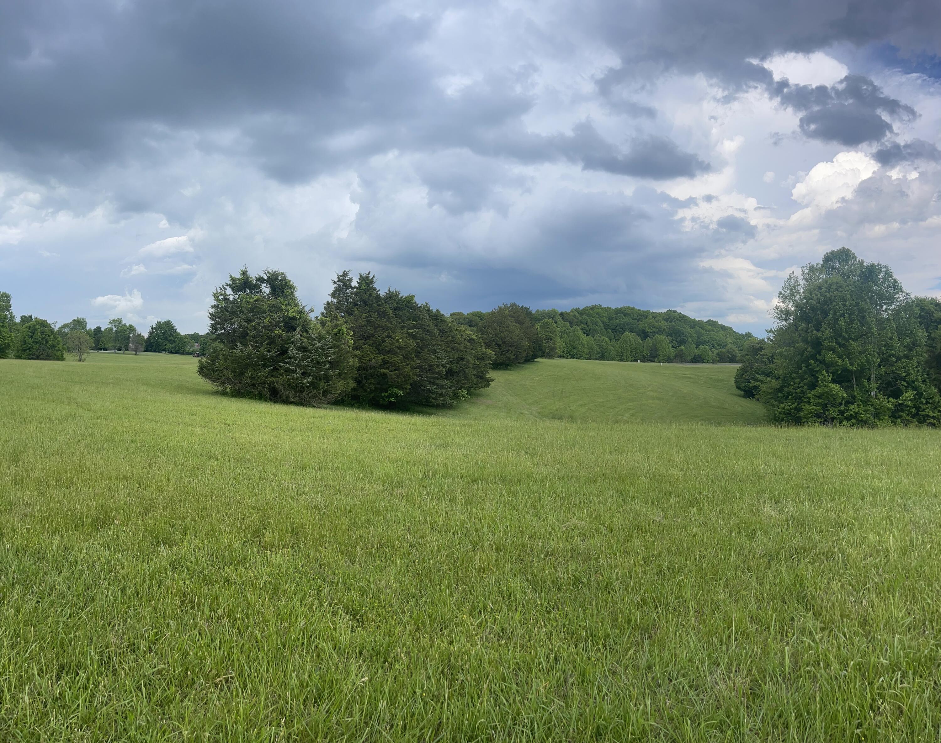 Image 3: IMG_7730