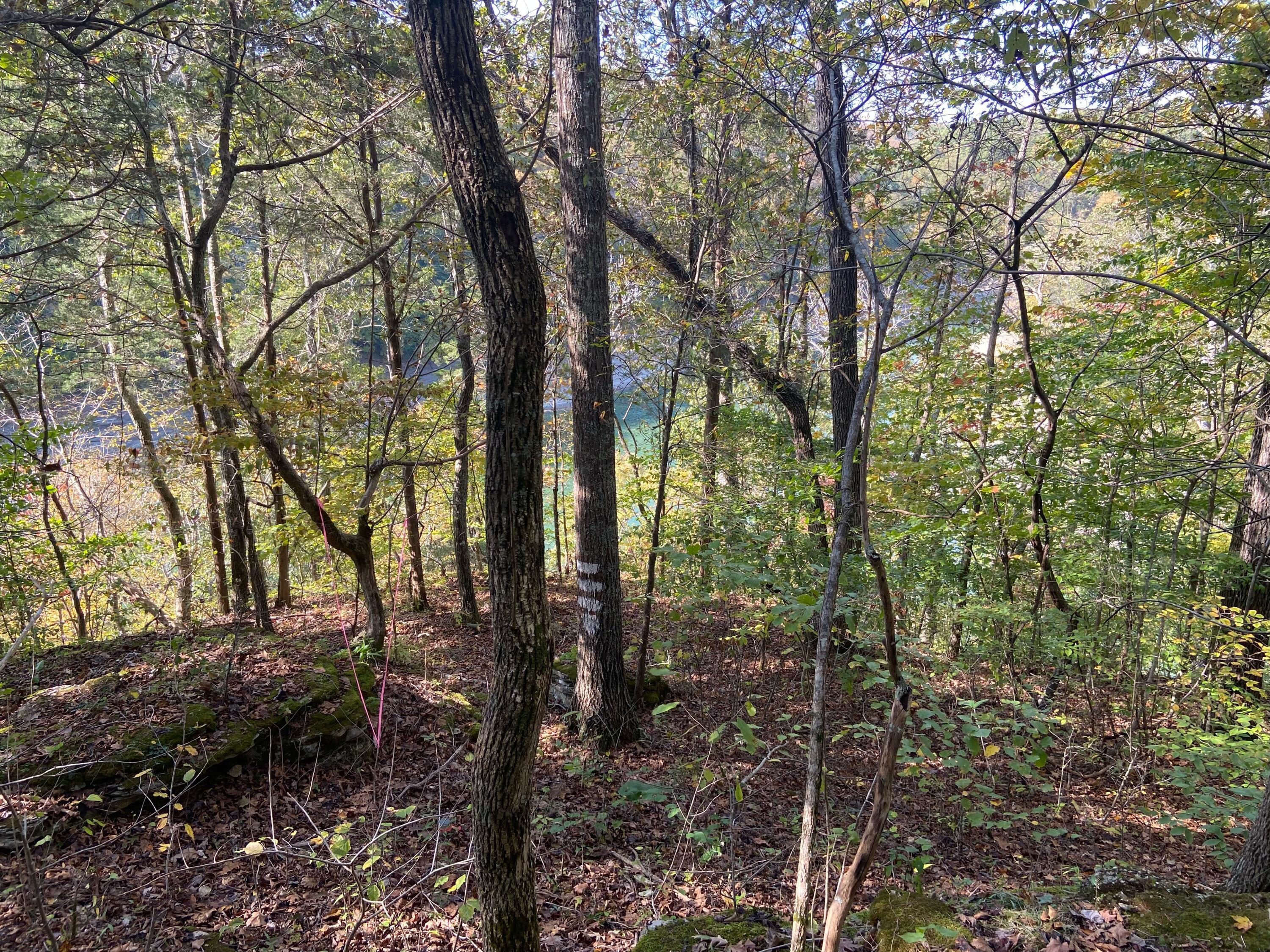 Image 2: IMG_1200