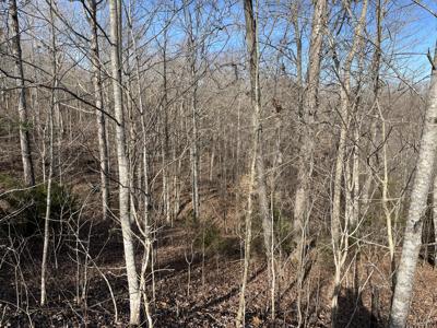 Lot 63 East Willow Point Road