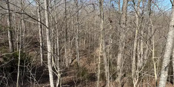 Lot 63 East Willow Point Road