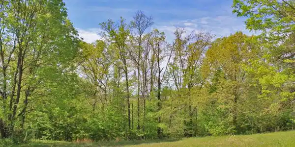 130 Lake Crest Drive