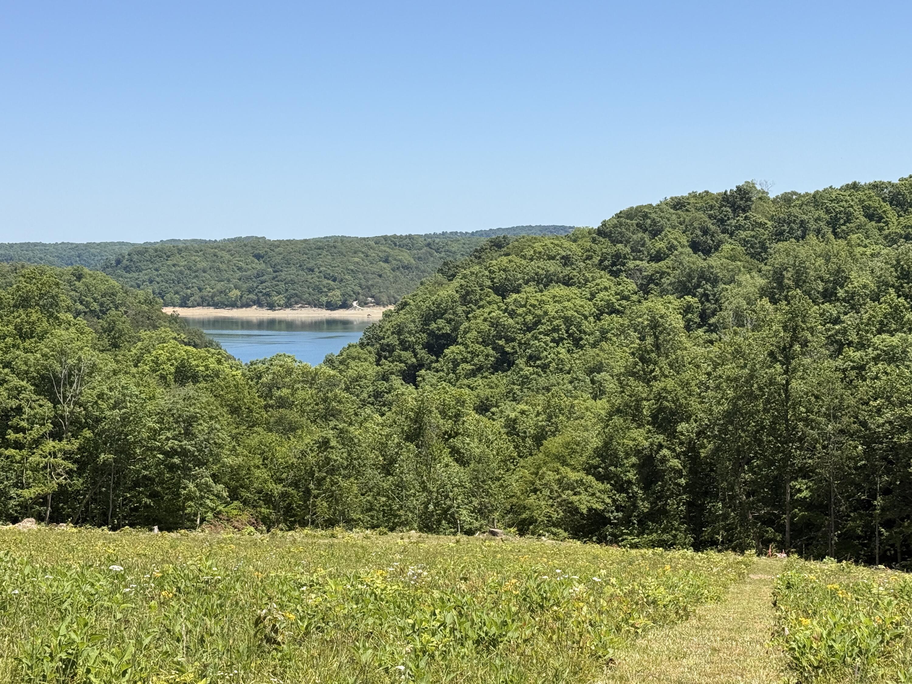 Image 3: IMG_4367