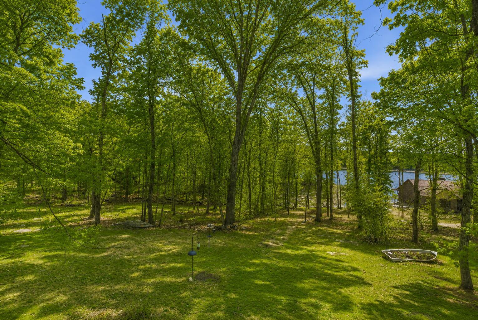 Image 4: View of lake