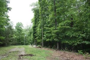 0000 Decker Road