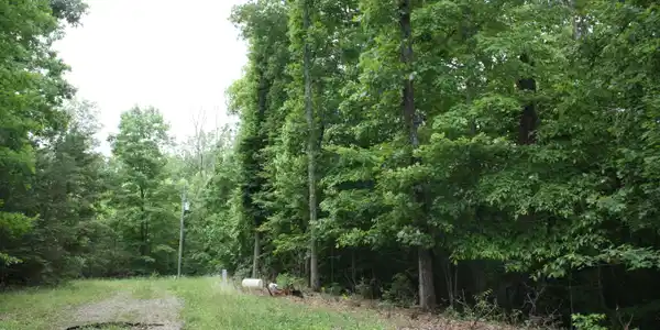 0000 Decker Road