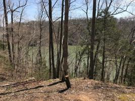 Lot 7 Cherry Loop