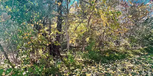 Lot 1 & 2 Sierra Drive