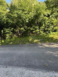 219 Wondering Woods Drive