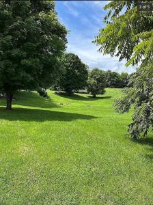 478 Kings Mill Road