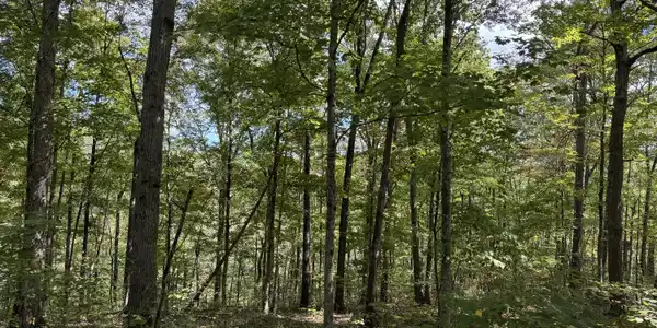 Lot 84,85,86 Sandstone Point Trail