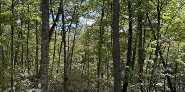 Lot 87,88,89 Sandstone Point Trail