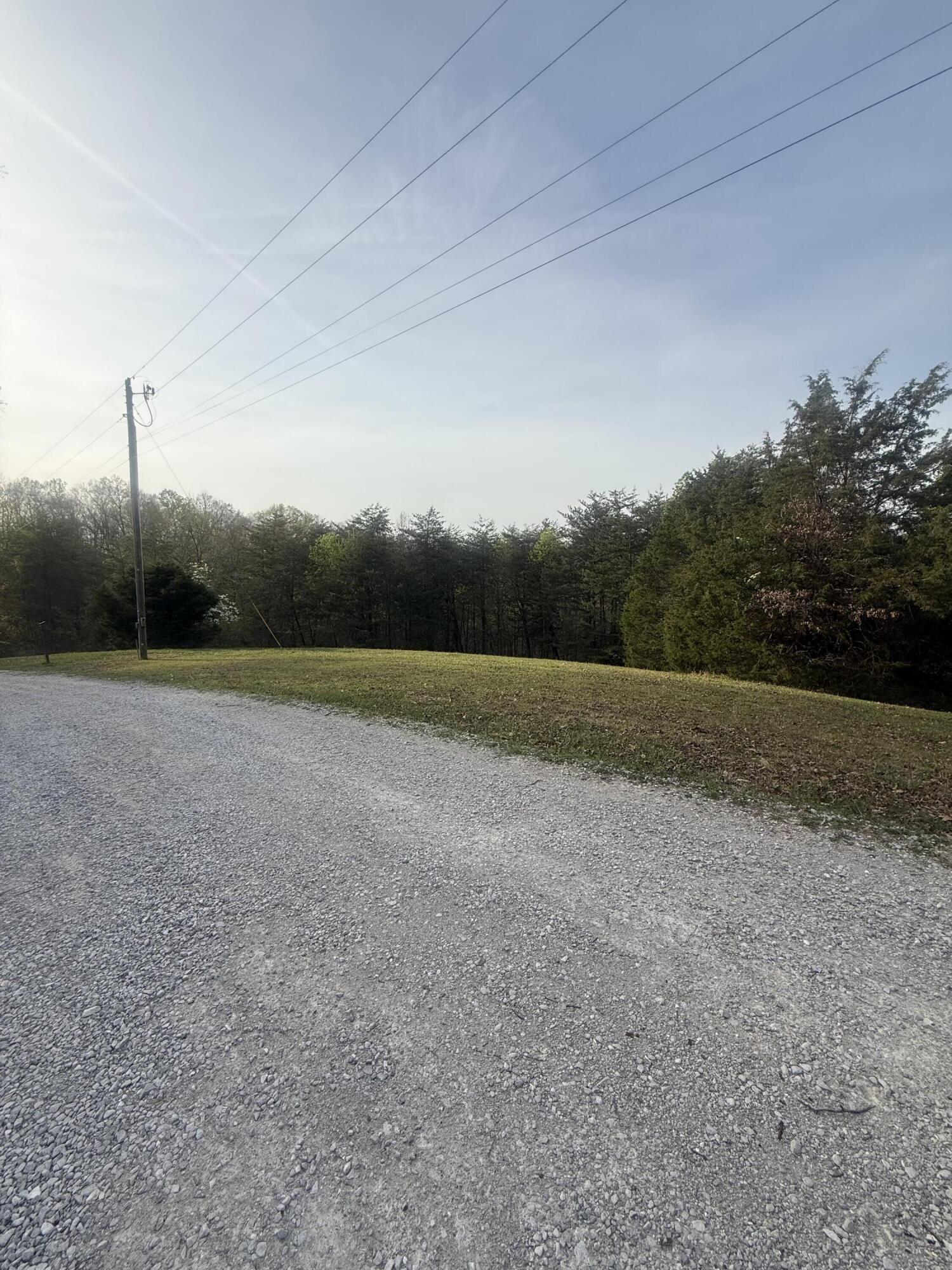 Image 2: IMG_1841