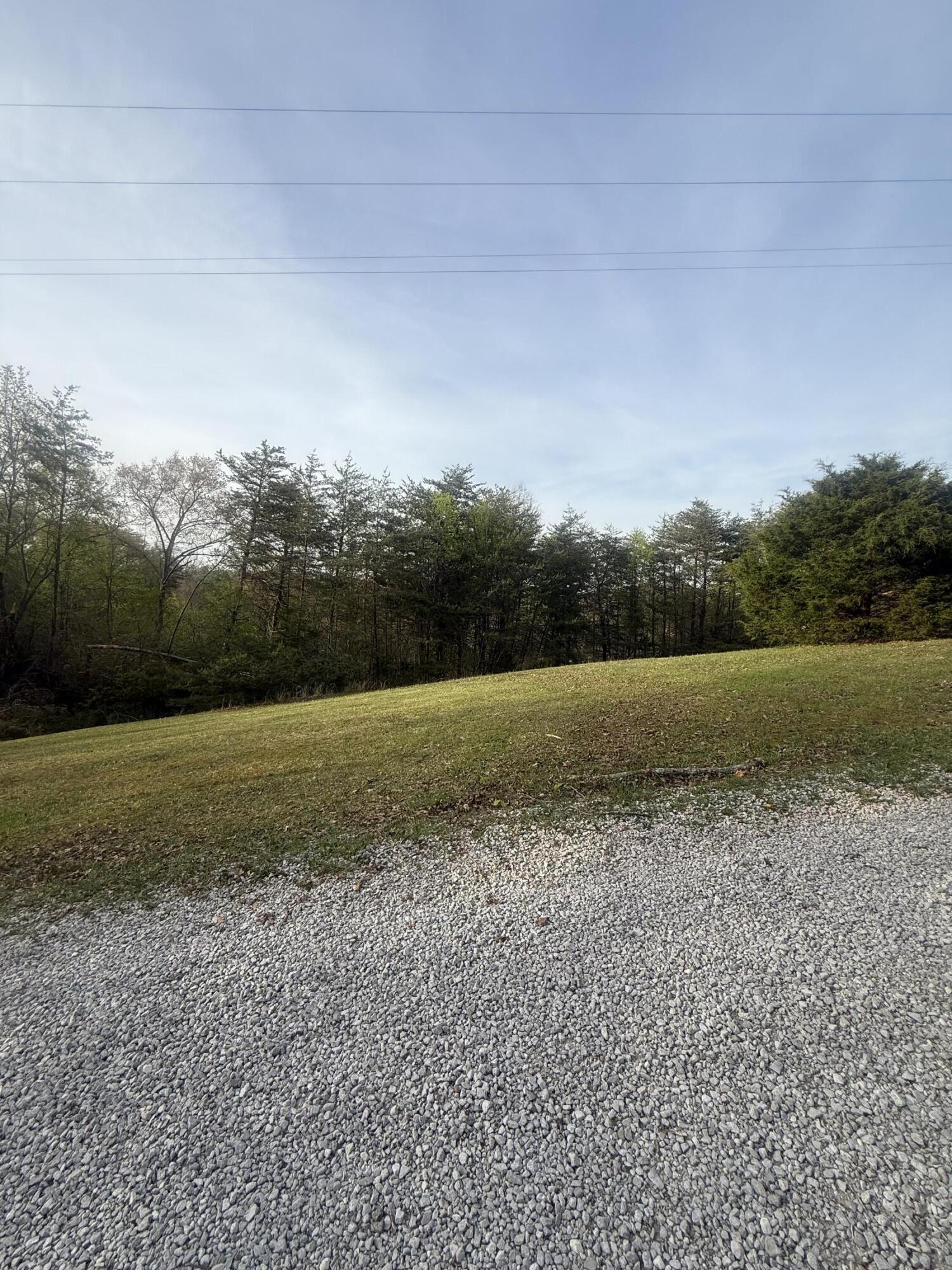 Image 3: IMG_1847
