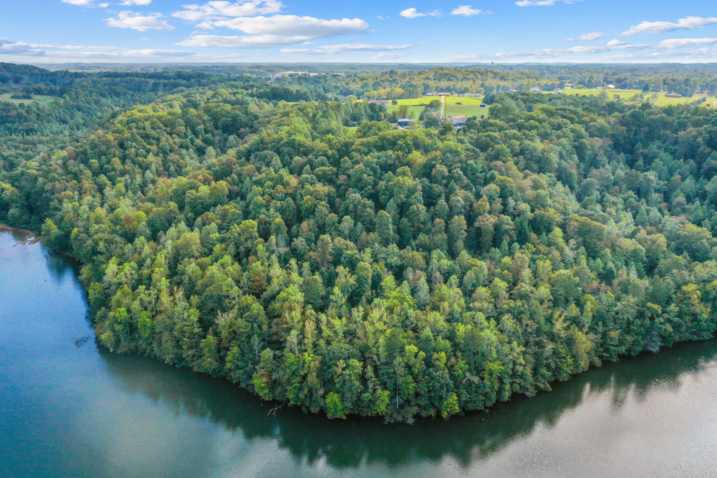 Image 4: DJI_0001 - Copy