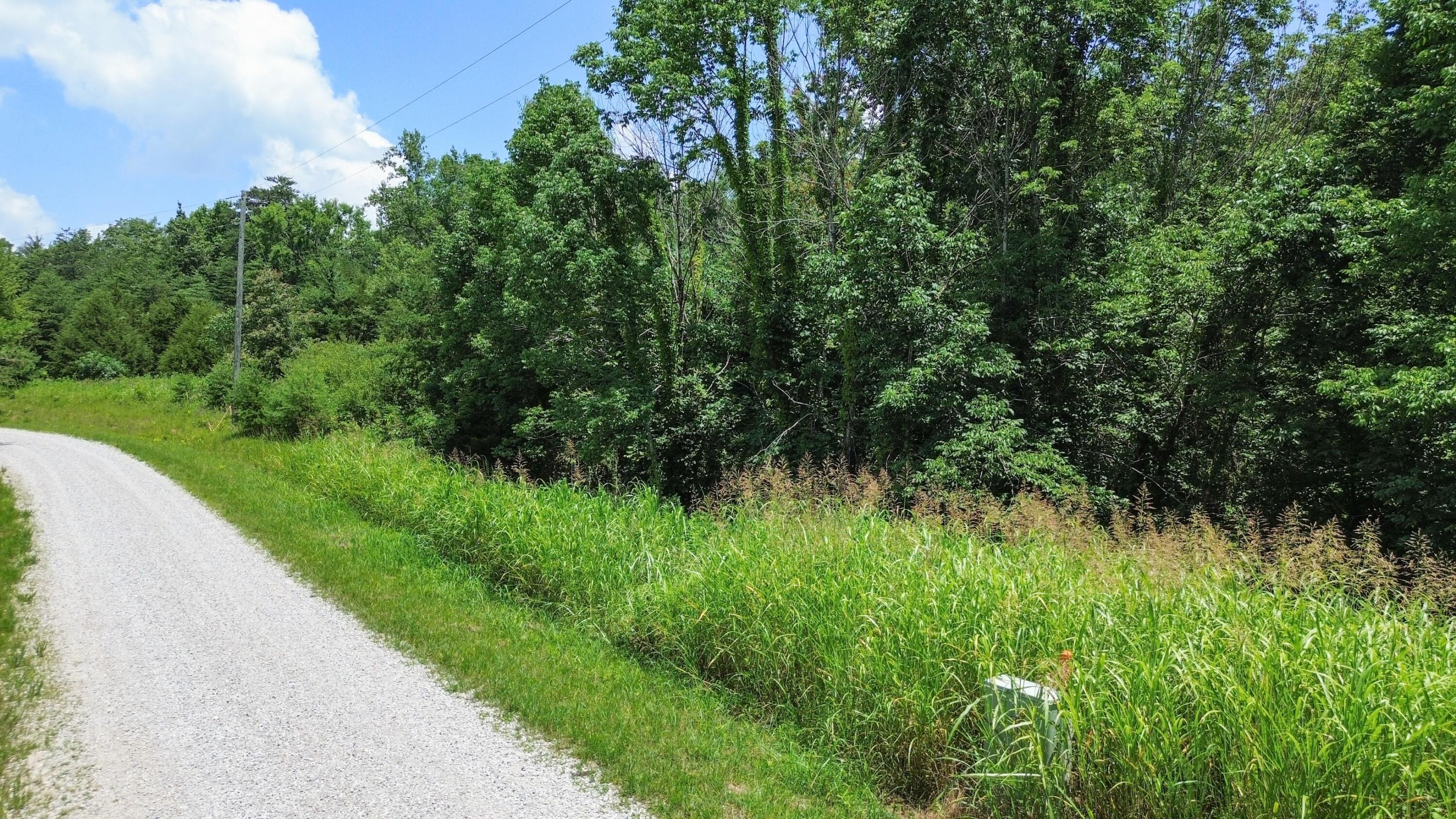 Image 4: DJI_0444
