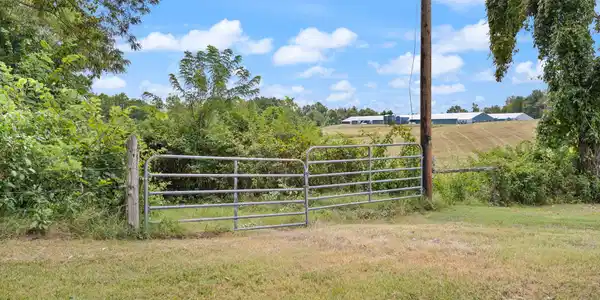 Image 4: 4-web-or-mls-413A1686
