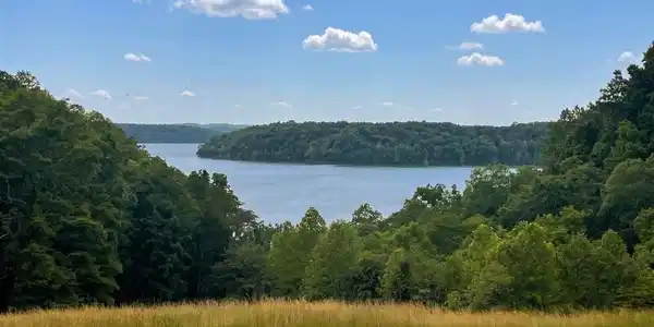 Lot 59 Edgewater