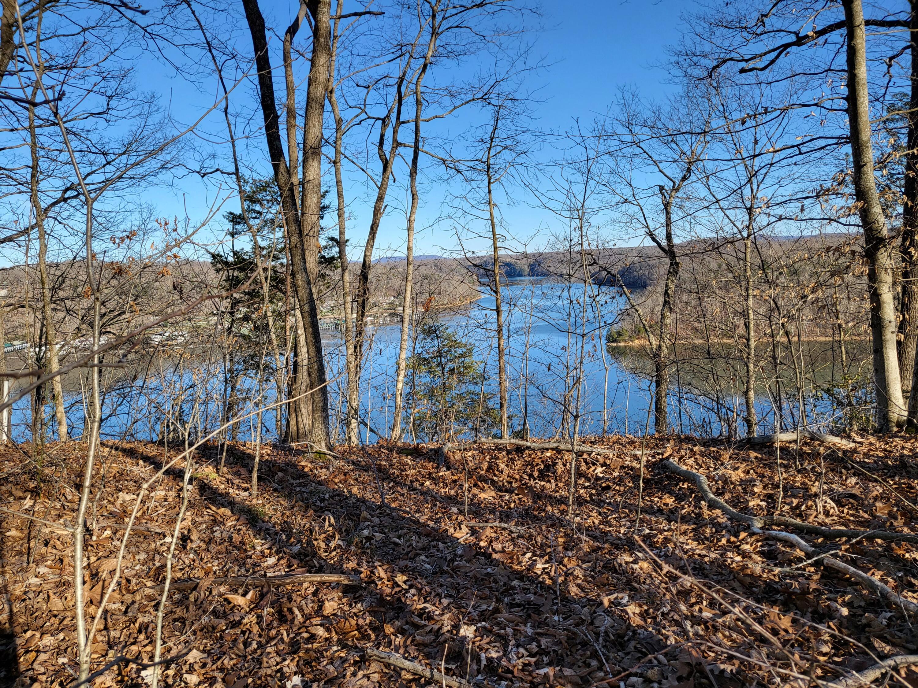 Image 2: 20240311_170758