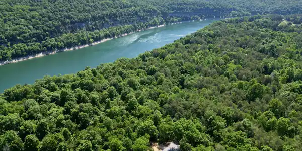 Lot 14 Buck Tail Drive