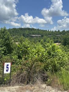Lot 5 Sleepy Hollow Road