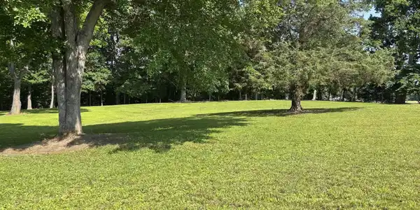 3 Cherry Loop