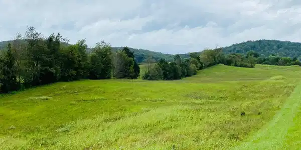 Phase 2, 13 Lighthouse Estates