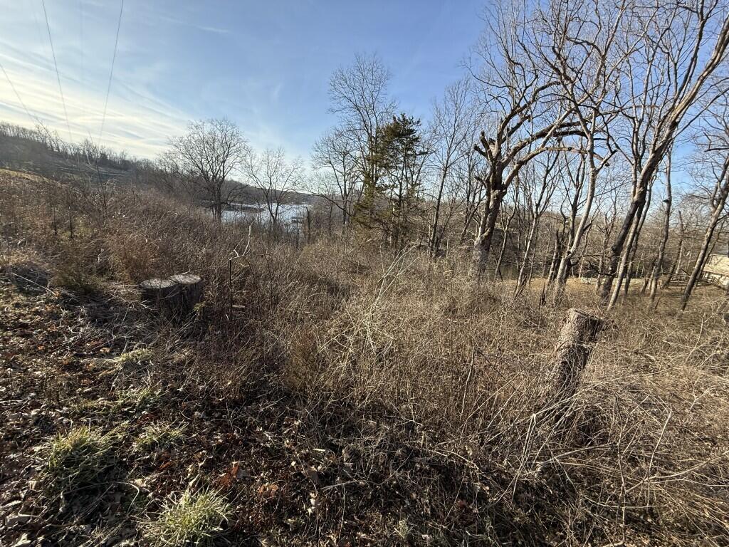 Image 4: 1063 Hamilton Springs 4