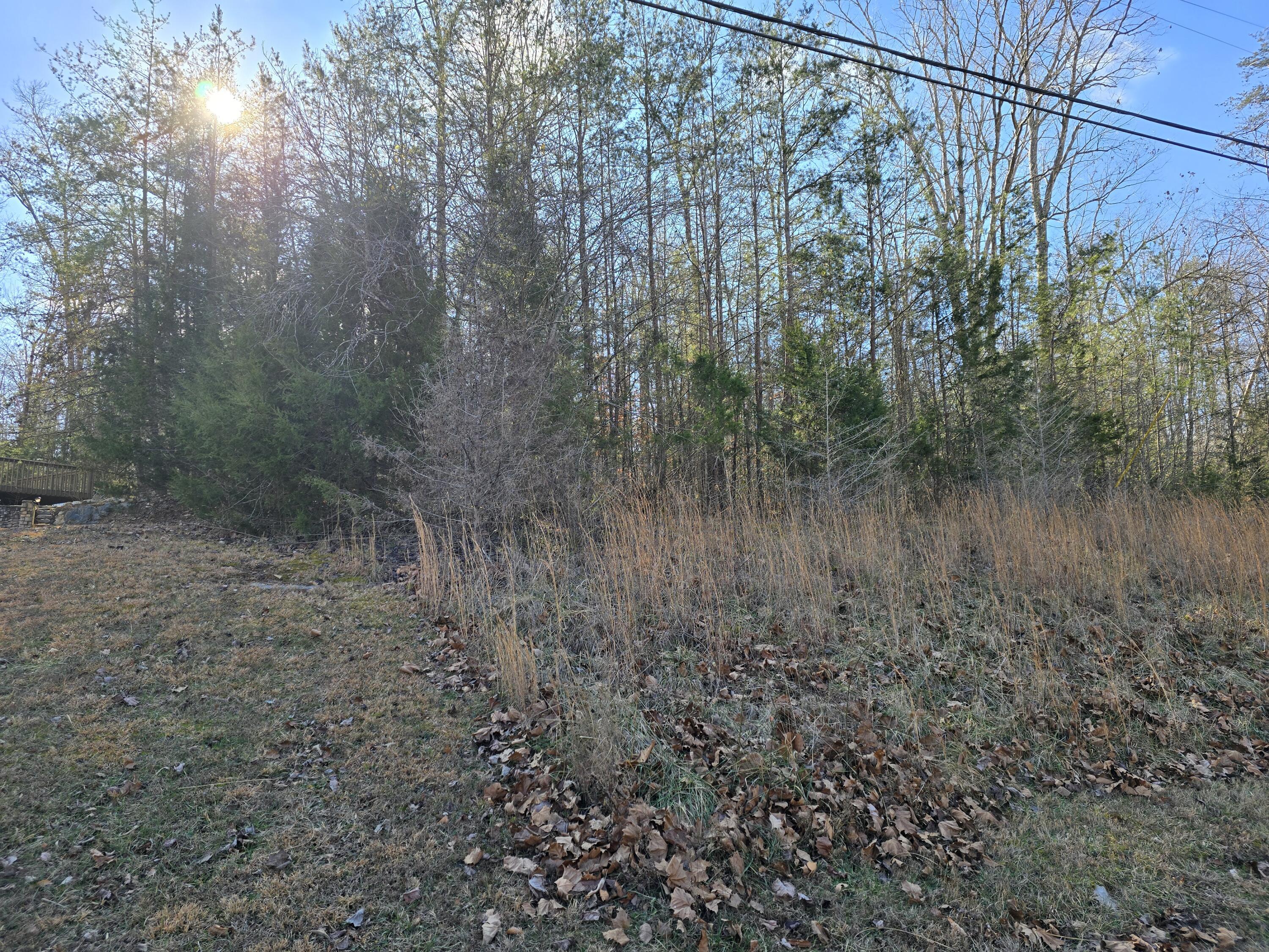 Image 3: 20251230_122406