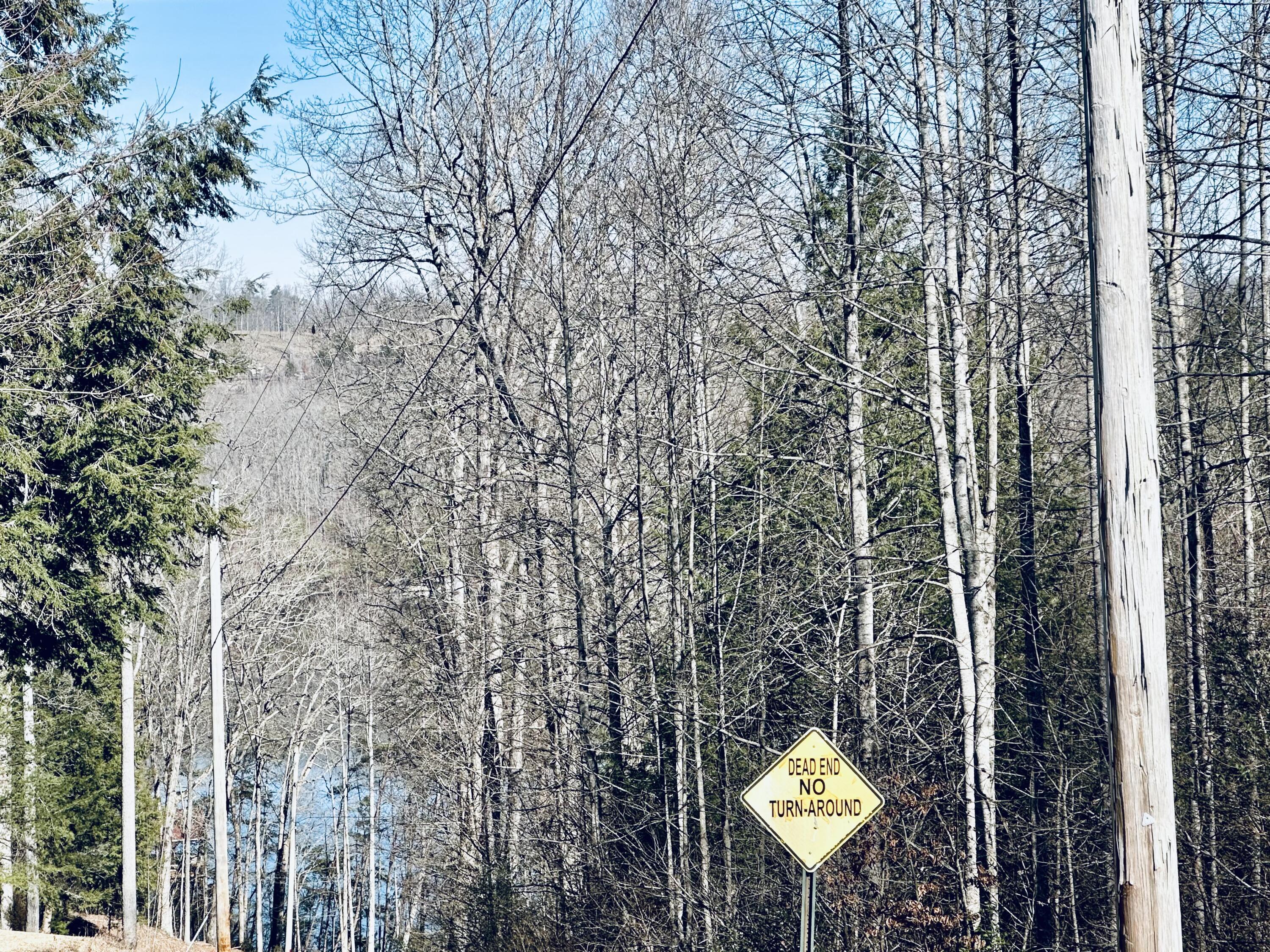 Image 2: SEASONAL LAKE VIEW