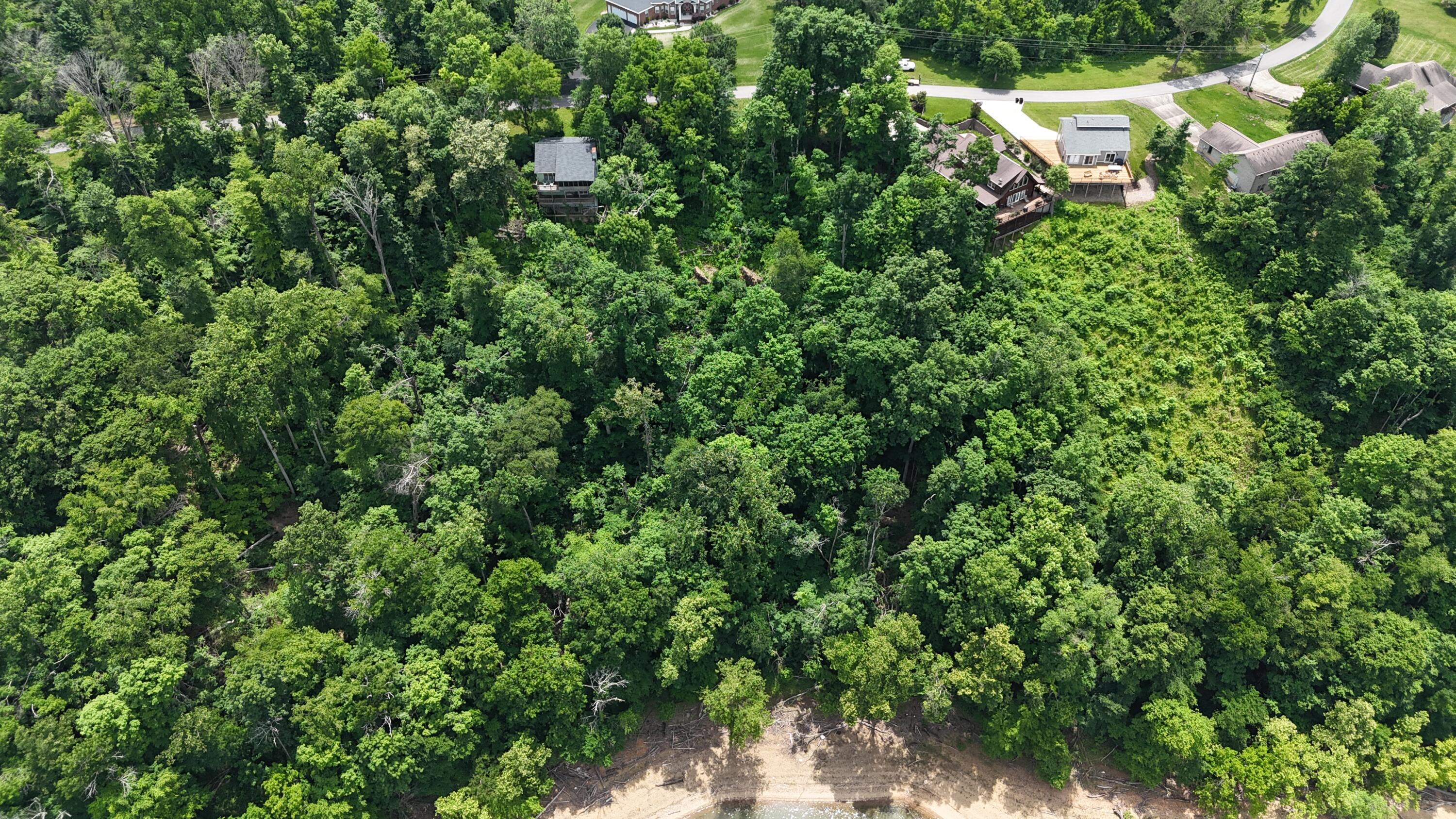 Image 2: DJI_20260529124342_0294_D