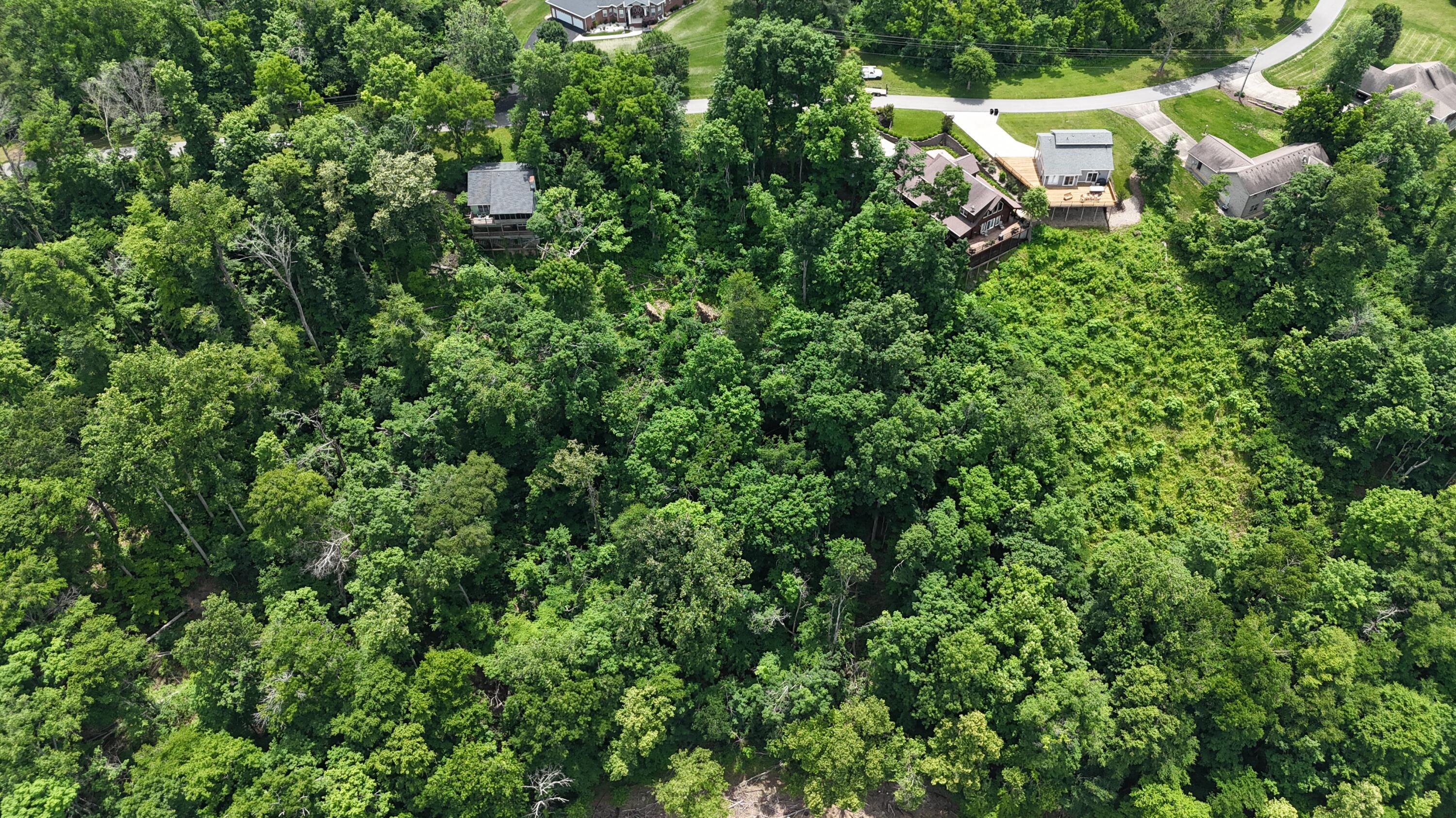 Image 4: DJI_20260529124420_0296_D