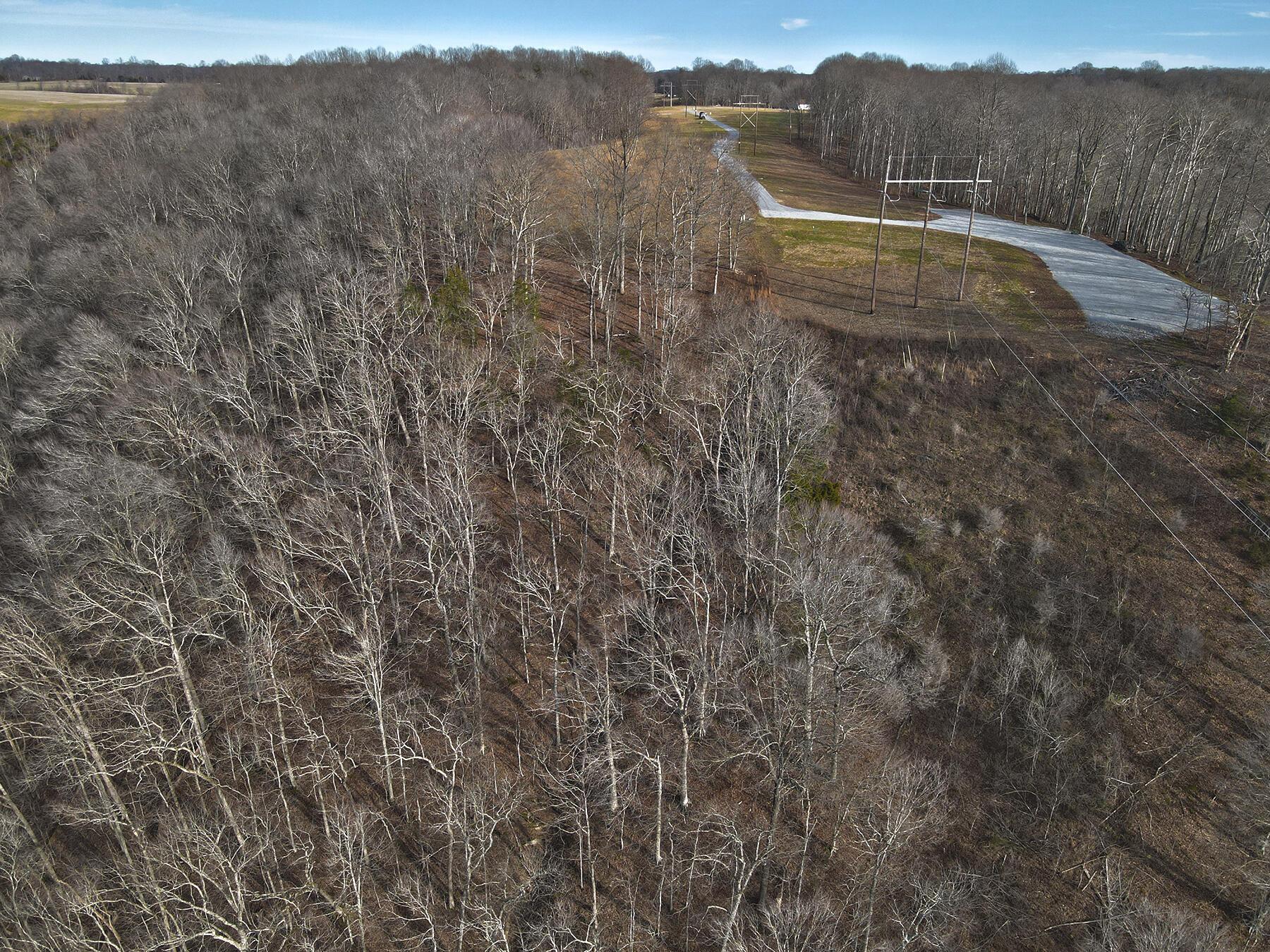 Image 3: Lakeridge_Est.025