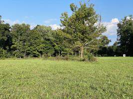 597 Chelsie Lane (Lot 3)