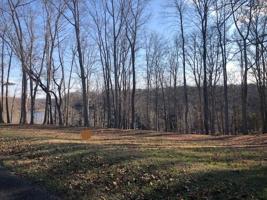 Lot 8 Cherry Loop