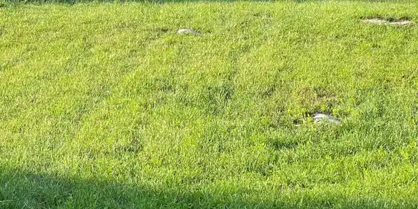 Lot 67 68 Cherry Lane