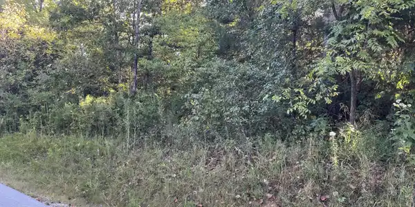 Tract 2 Cumberland Ridge Drive
