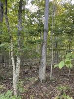 Tract 5 Cumberland Ridge Drive