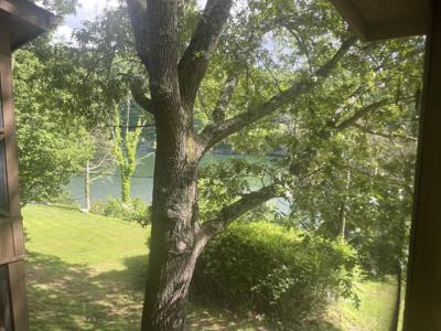 101-3 Woodson Bend Resort