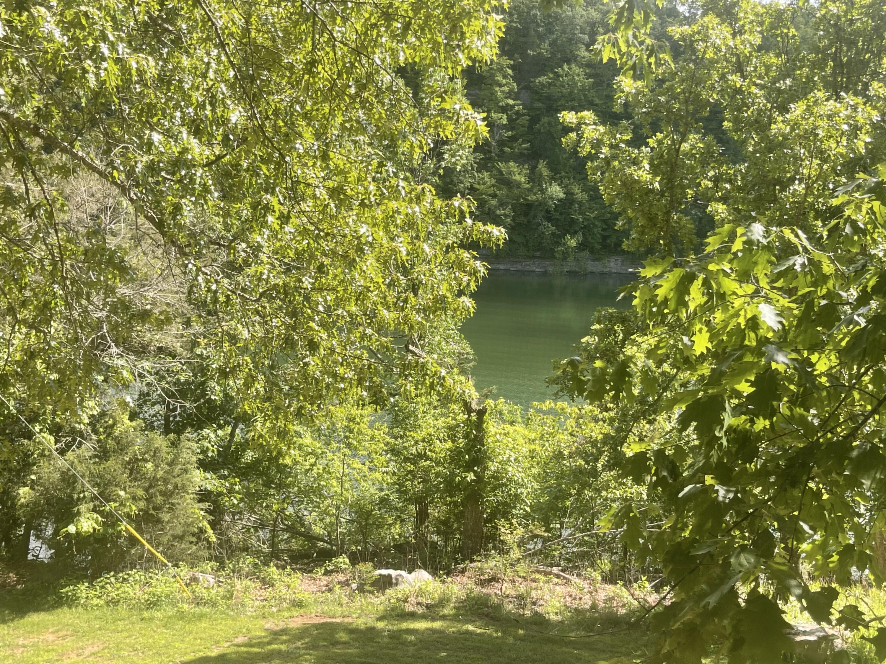 Image 2: IMG_7760