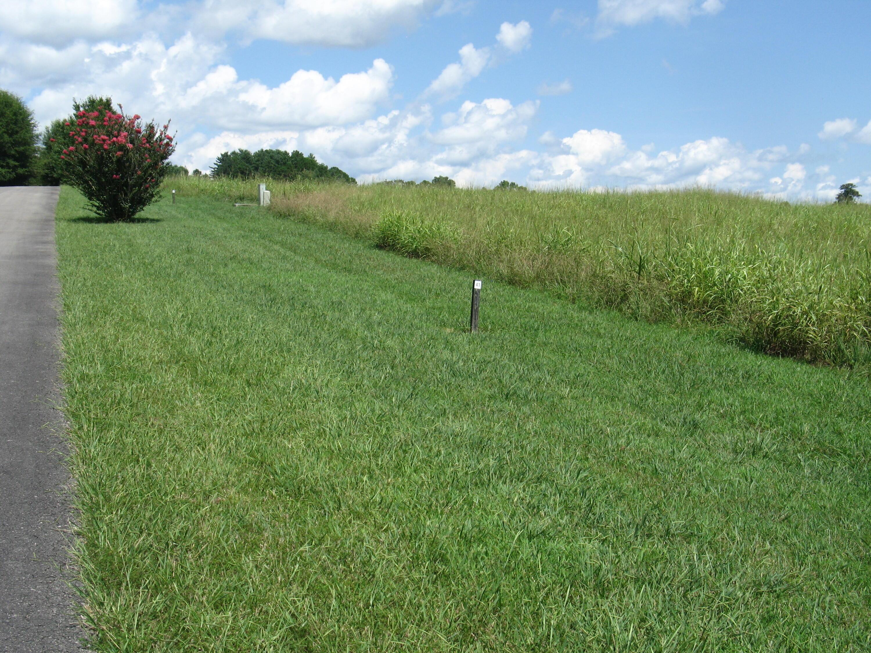 Image 2: Edgewater Beacon 2 - Copy