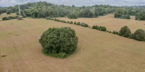 Image 2: Low Farm Photo 3