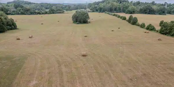 Image 4: Low Farm photo 1