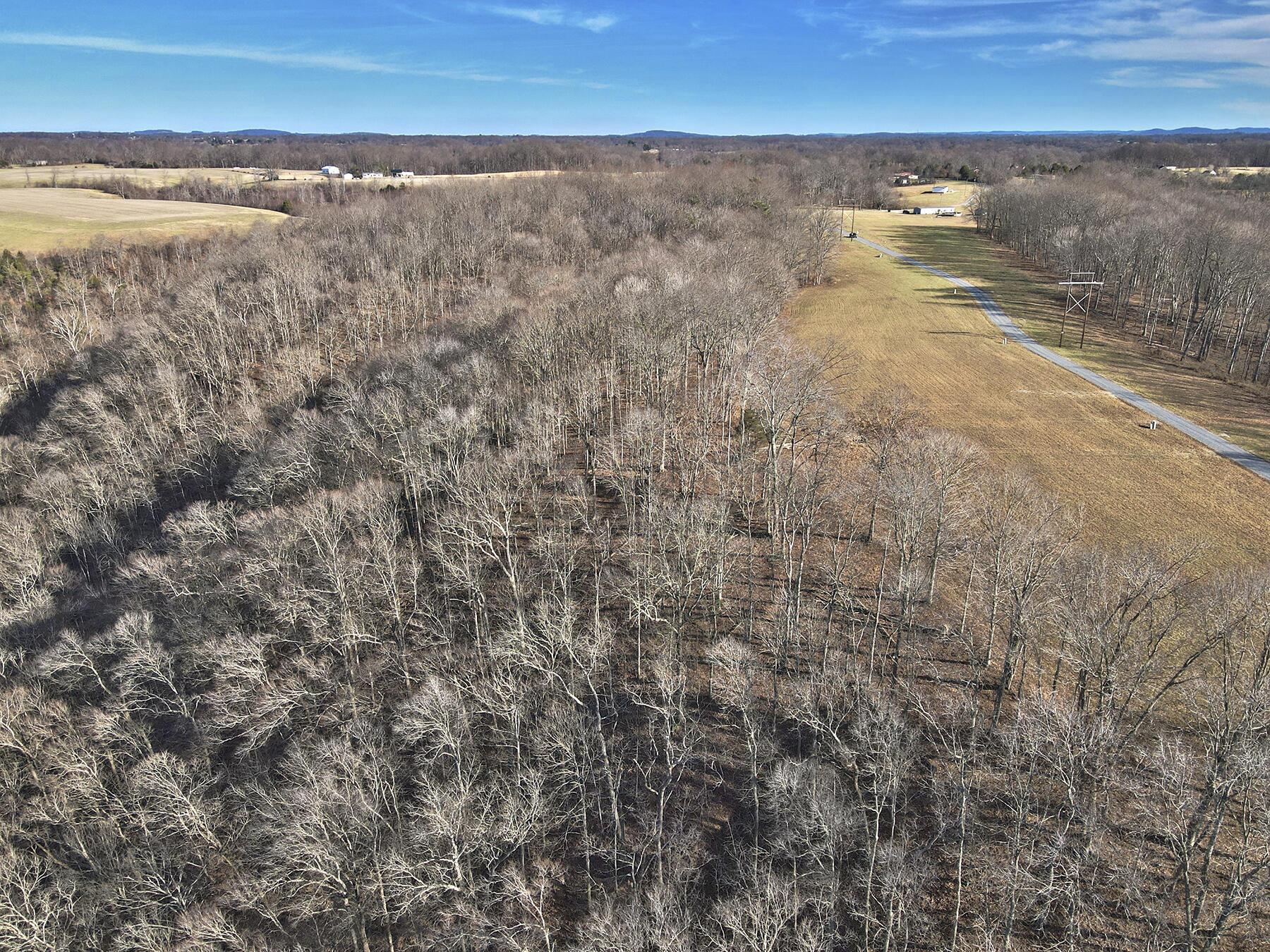 Image 1: Lakeridge_Est.094