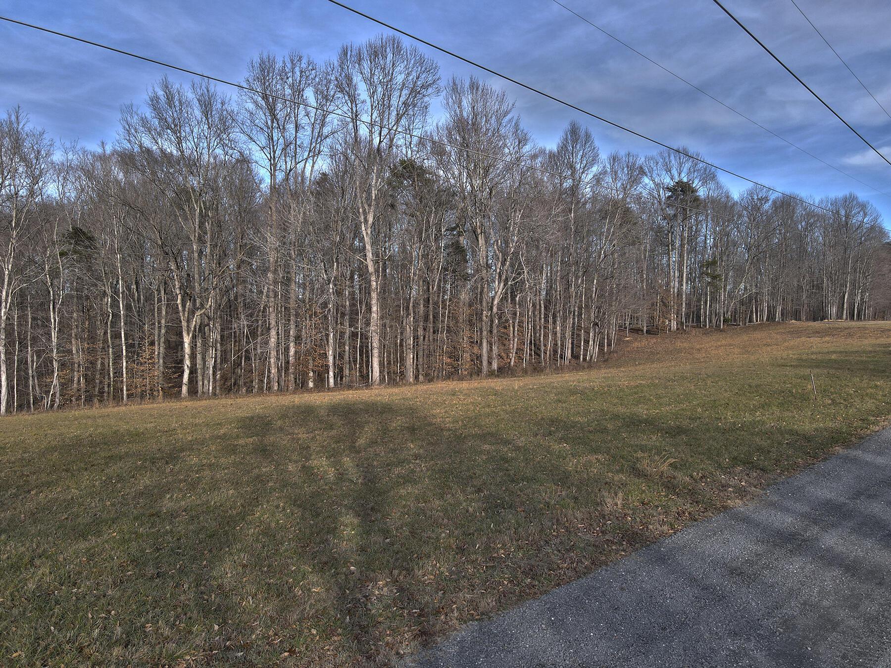 Image 3: Lakeridge_Est.001