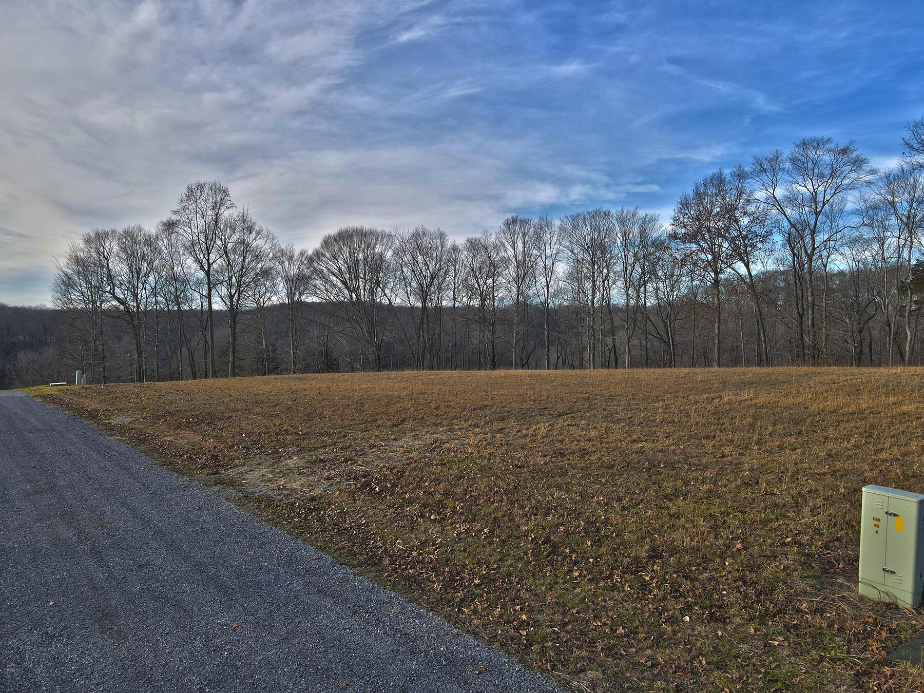Image 4: Lakeridge_Est.015