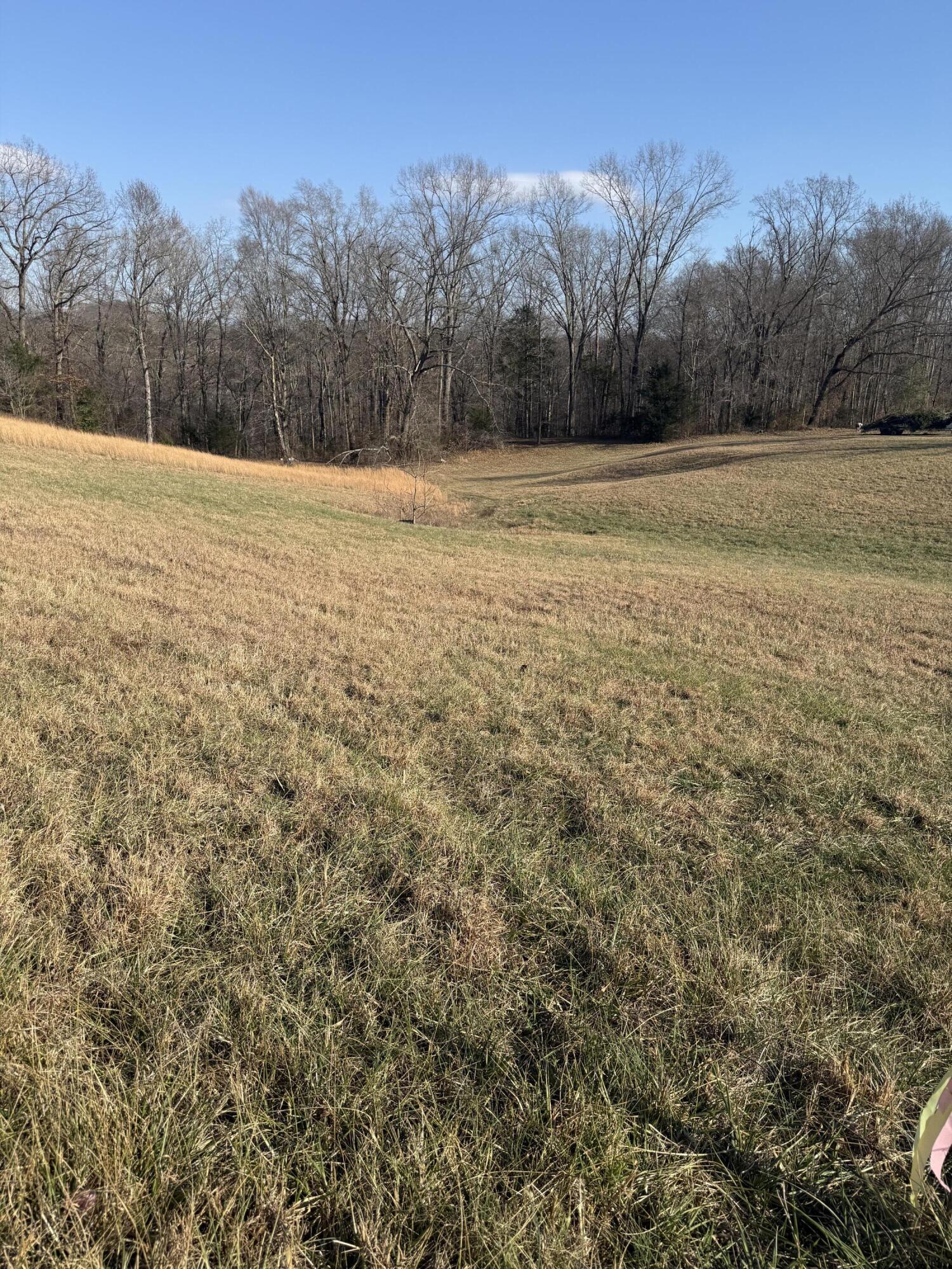 Image 2: IMG_4997
