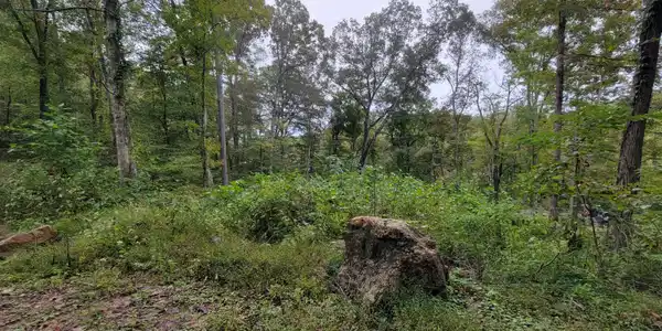 150 Punchs End